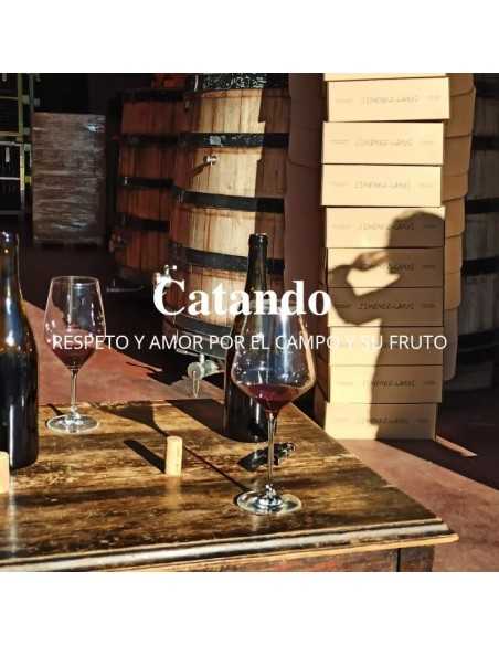 Bodegas Jiménez Landi - Visita Bodegas Méntrida - 30€