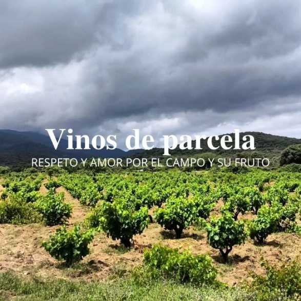 Bodegas Jiménez Landi - Visita Bodegas Méntrida - 30€