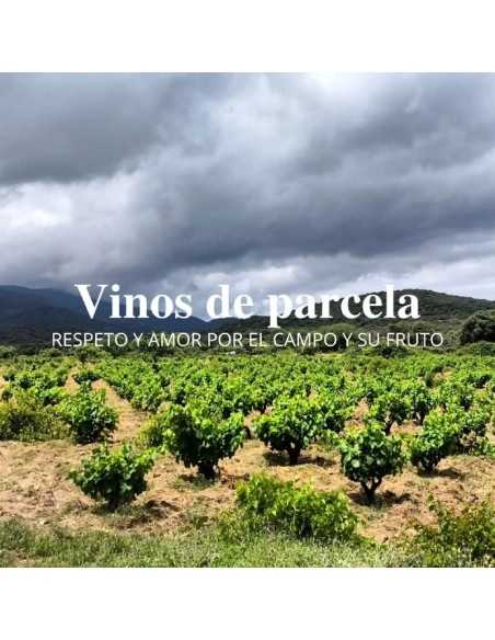 Bodegas Jiménez Landi - Visita Bodegas Méntrida - 30€