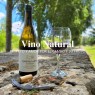 Bodegas Jiménez Landi - Visita Bodegas Méntrida - 30€