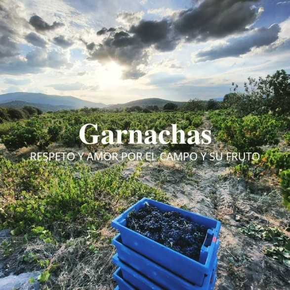 Bodegas Jiménez Landi - Visita Bodegas Méntrida - 30€