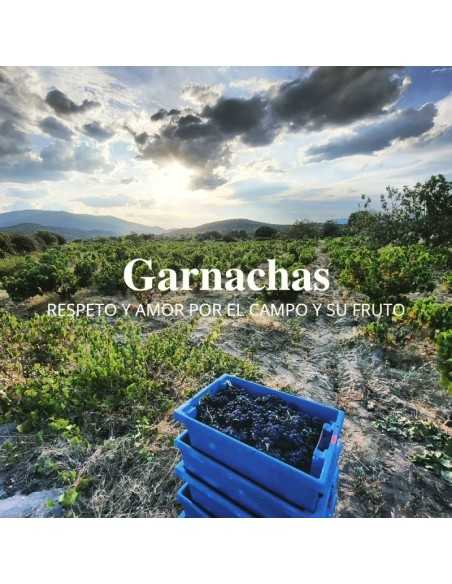 Bodegas Jiménez Landi - Visita Bodegas Méntrida - 30€