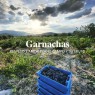 Bodegas Jiménez Landi - Visita Bodegas Méntrida - 30€