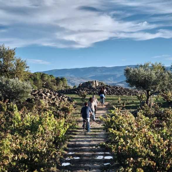 Bodegas Izadi - Visita bodegas en La Rioja- Desde 25€