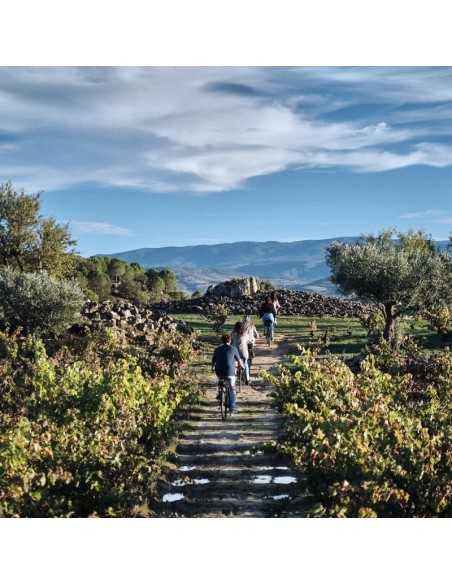 Bodegas Izadi - Visita bodegas en La Rioja- Desde 25€