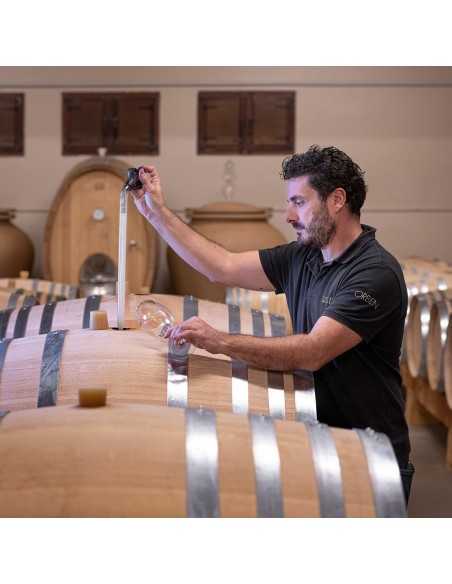 Bodegas Izadi - Visita bodegas en La Rioja- Desde 25€