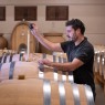 Bodegas Izadi - Visita bodegas en La Rioja- Desde 25€