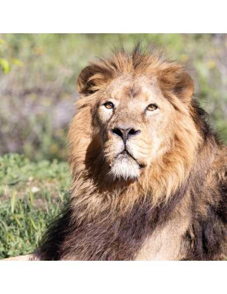 Entradas Zoo Aquarium Madrid 17,90 Descuento 24% | 2X1