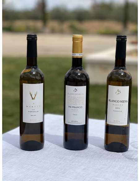 Bodegas Segovia DO Rueda - Enoturismo - Blanco de Nieva