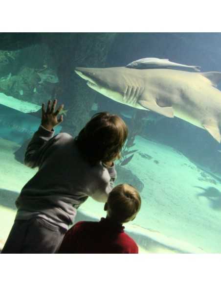 Entradas Zoo Aquarium Madrid 17,90 Descuento 24% | 2X1