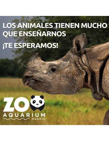Entradas Zoo Aquarium Madrid 17,90 Descuento 24% | 2X1