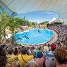 Entradas LORO PARQUE TENERIFE 16€ - Descuentos y Ofertas