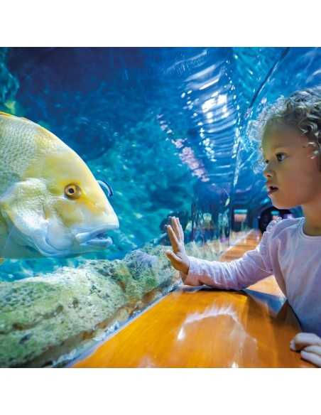 Entradas LORO PARQUE TENERIFE 16€ - Descuentos y Ofertas