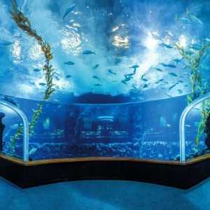 POEMA DEL MAR AQUARIUM - Entradas desde 19€ 2