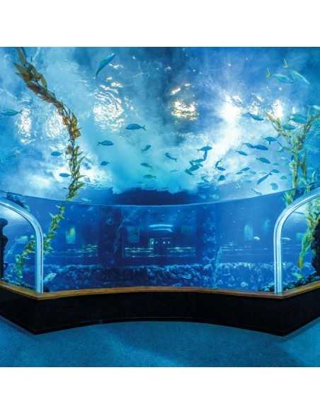POEMA DEL MAR AQUARIUM - Entradas desde 19€