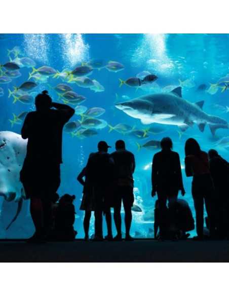 POEMA DEL MAR AQUARIUM - Entradas desde 19€