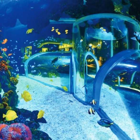 POEMA DEL MAR AQUARIUM - Entradas desde 19€