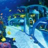 POEMA DEL MAR AQUARIUM - Entradas desde 19€