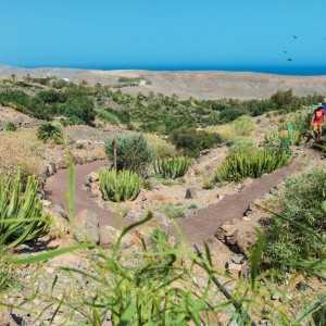 OASIS WILDLIFE FUERTEVENTURA Entradas - Ticktes 2