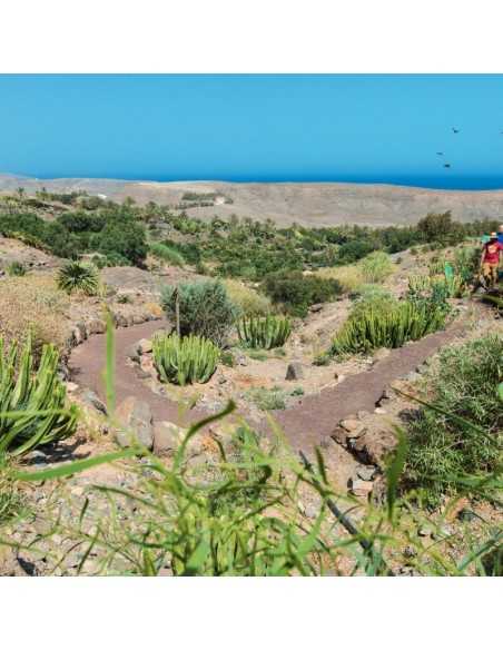 OASIS WILDLIFE FUERTEVENTURA Entradas - Ticktes