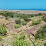 OASIS WILDLIFE FUERTEVENTURA Entradas - Ticktes