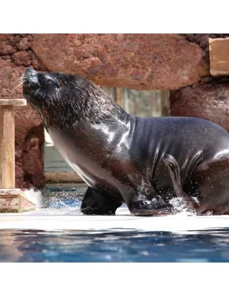 OASIS WILDLIFE FUERTEVENTURA Entradas - Ticktes