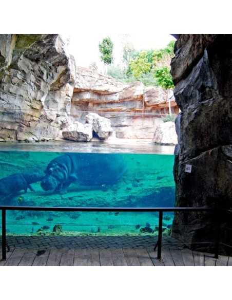 Entradas BIOPARC Valencia desde 21,70€ | Descuentos
