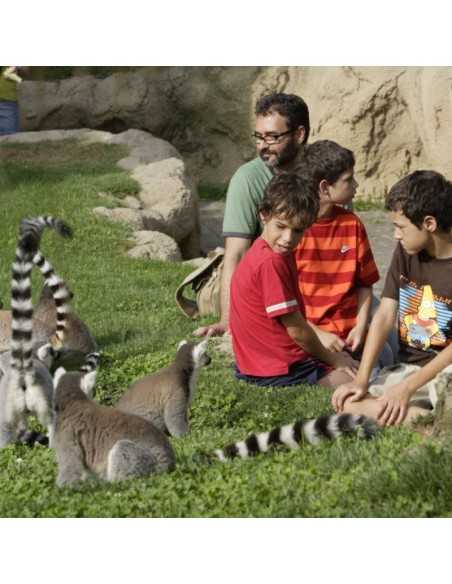 Entradas BIOPARC Valencia desde 21,70€ | Descuentos