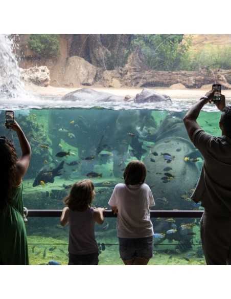 Entradas BIOPARC Valencia desde 21,70€ | Descuentos