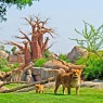 Entradas BIOPARC Valencia desde 21,70€ | Descuentos