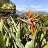 Entradas DinoPark Algar 13,50€ | Parque de Dinosaurios 🦖