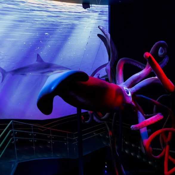 Entradas Atlantis Aquarium desde 10,90 €🎟️🐟37% Dto