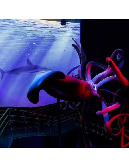 Entradas Atlantis Aquarium desde 10,90 €🎟️🐟37% Dto
