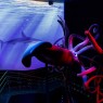 Entradas Atlantis Aquarium desde 10,90 €🎟️🐟37% Dto