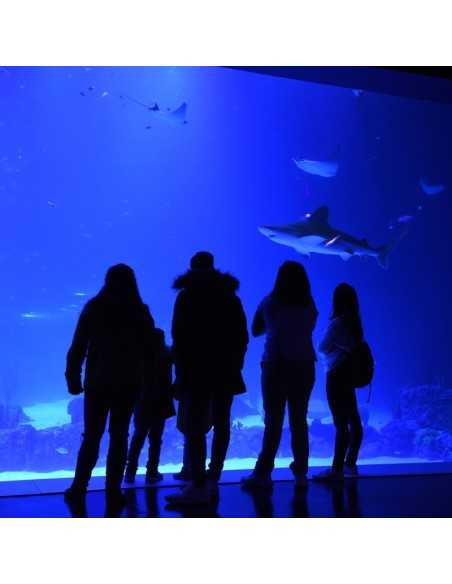 Entradas Atlantis Aquarium desde 10,90 €🎟️🐟37% Dto