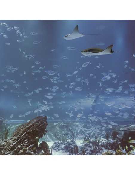 Entradas Atlantis Aquarium desde 10,90 €🎟️🐟37% Dto