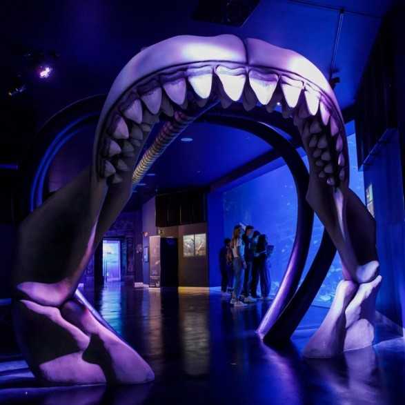 Entradas Atlantis Aquarium desde 10,90 €🎟️🐟37% Dto