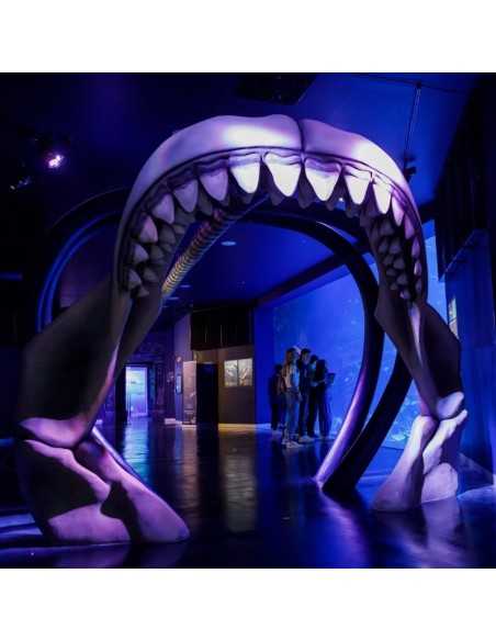 Entradas Atlantis Aquarium desde 10,90 €🎟️🐟37% Dto