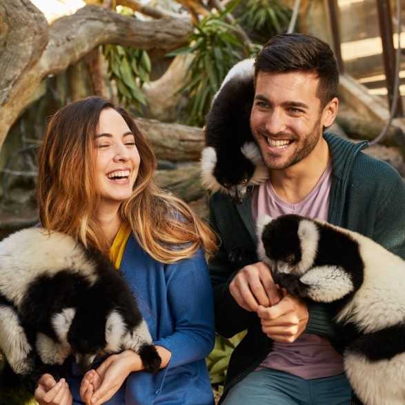 Entradas Mundomar Benidorm desde 22€ 16% Descuento