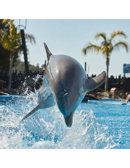 Entradas Mundomar Benidorm desde 22€ 16% Descuento