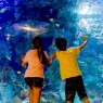 Entradas Mundomar Benidorm desde 22€ 16% Descuento