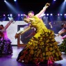 Entradas Benidorm Palace desde 20€ | Precios y Horarios