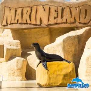 MARINELAND CATALUNYA - Delfinario y Parque Acuático - Entradas desde 16€ 2