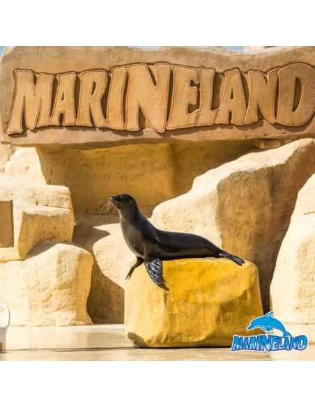 MARINELAND CATALUNYA - Delfinario y Parque Acuático - Entradas desde 16€