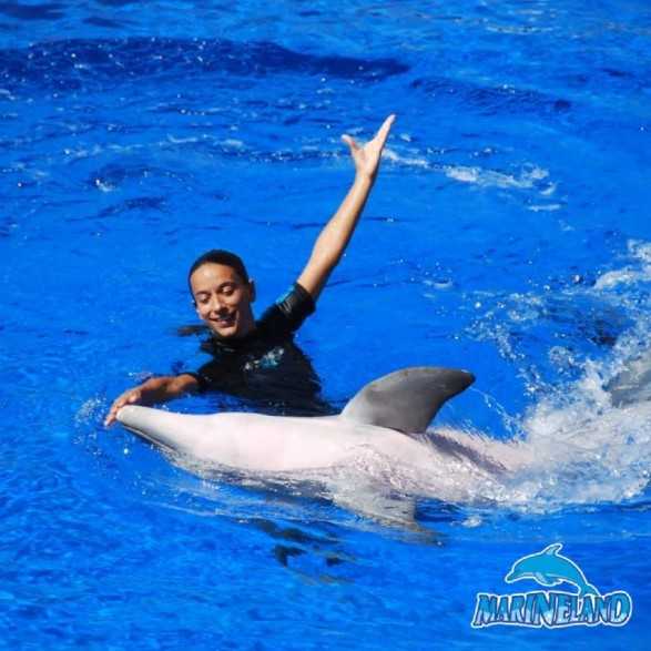 MARINELAND CATALUNYA - Delfinario y Parque Acuático - Entradas desde 16€