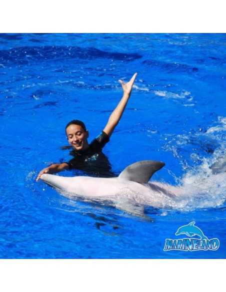 MARINELAND CATALUNYA - Delfinario y Parque Acuático - Entradas desde 16€