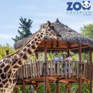 Entradas Zoo Aquarium Madrid desde 17,90 Descuento 24% | 2X1 2