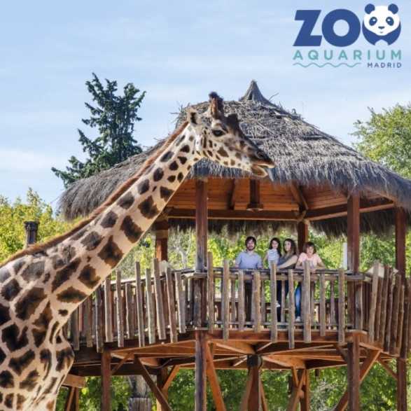Entradas Zoo Aquarium Madrid 17,90 Descuento 24% | 2X1