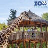 Entradas Zoo Aquarium Madrid 17,90 Descuento 24% | 2X1