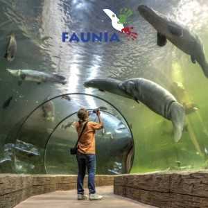 Entradas Faunia Madrid 22€ 35% Descuento 2